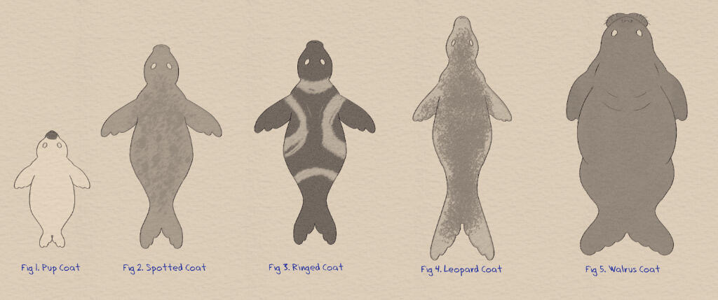A Small Collection of Selkie Coats